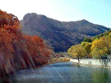 新澳天天开奖资料大全旅游团，上海激光打标加工